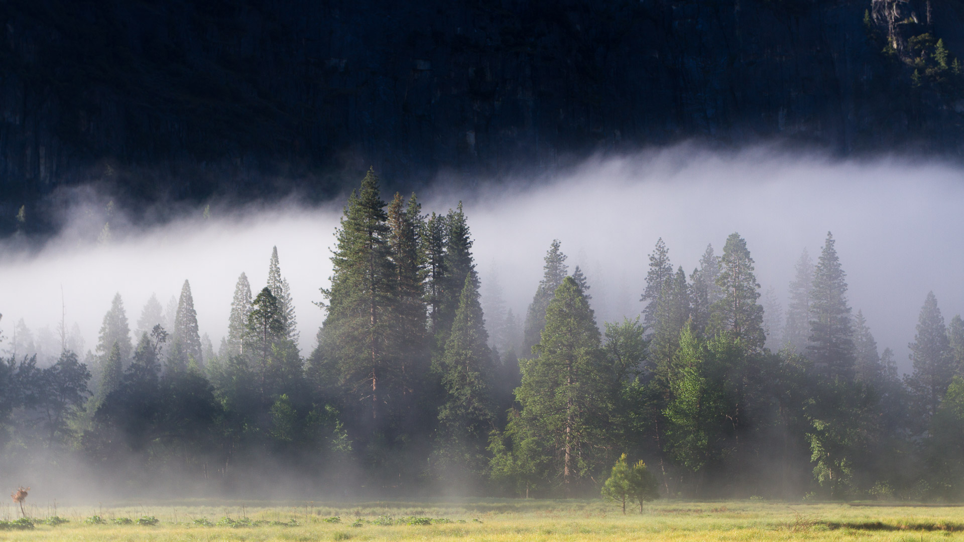 Landscapes
