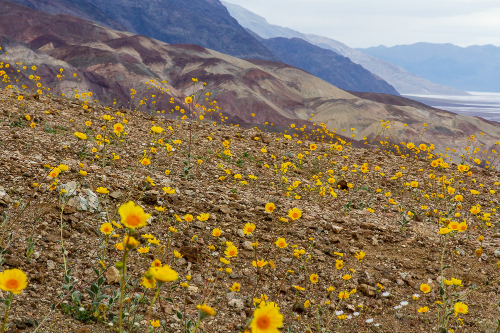 Death Valley