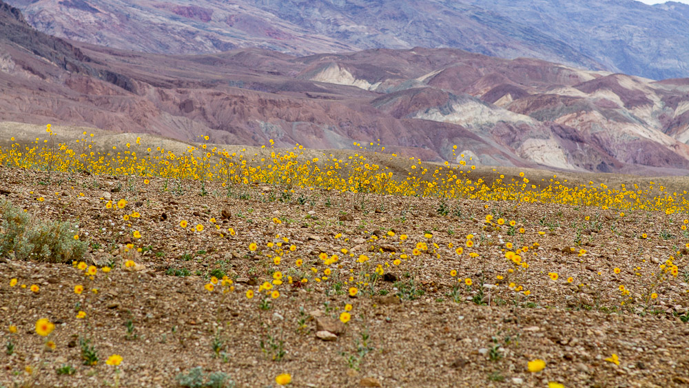 Death Valley