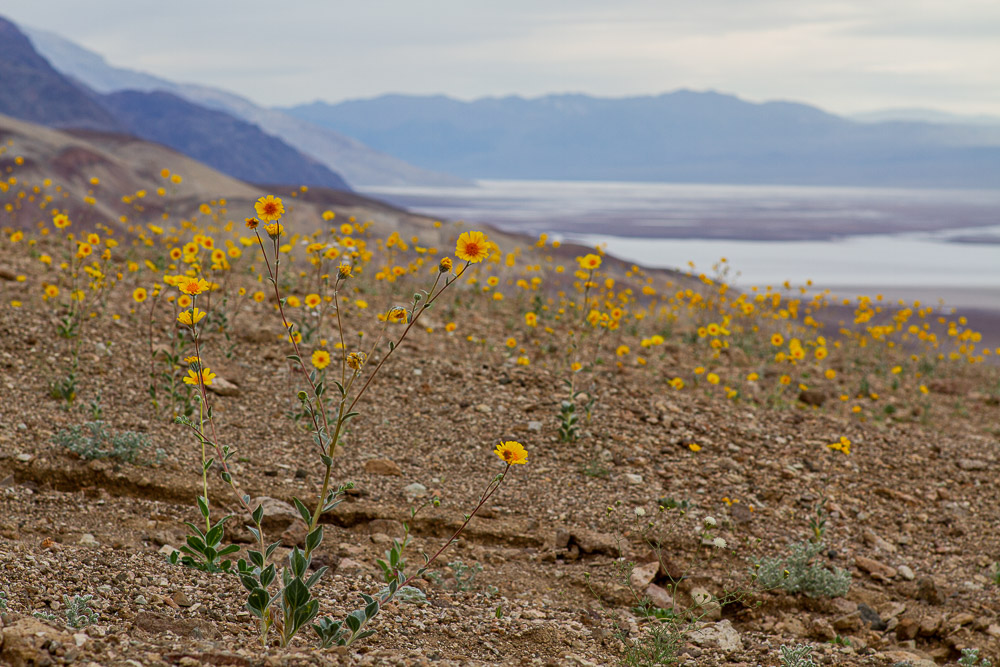 Death Valley