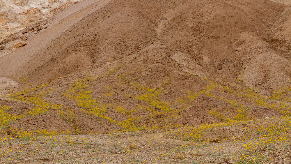 Death Valley